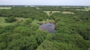 455 Pilot Point Texas