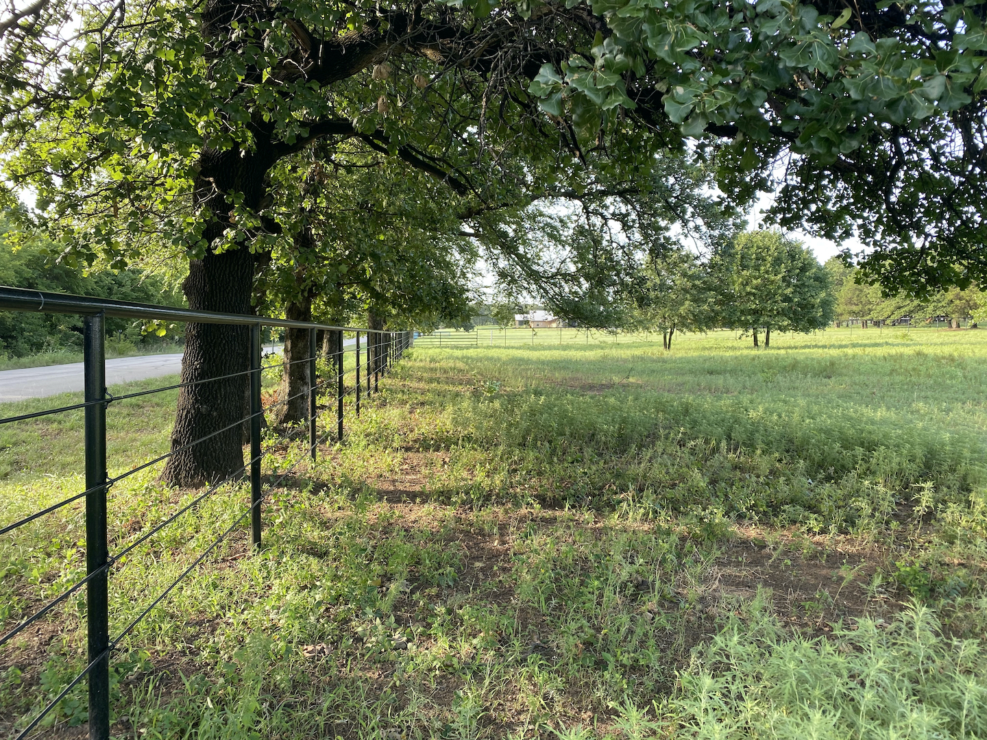 20 Acres of land in Heart of Horse Country