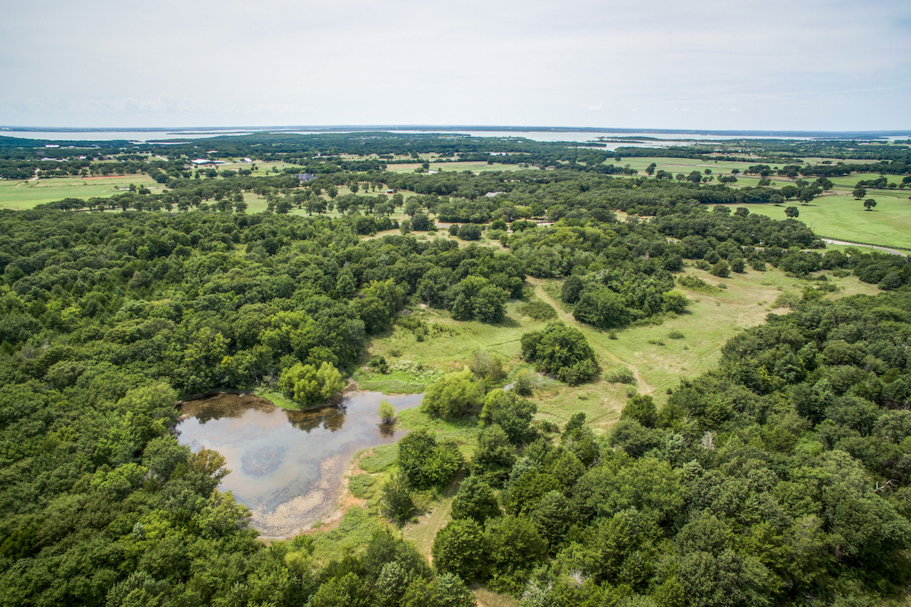 Under Contract Beautiful 60 acres in Pilot Point, TX Sarah Boyd